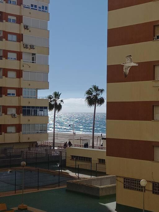 Apartamento Alegrias De Cadiz By Gades Gestion Exterior foto